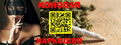 Альфа ПВП Можга