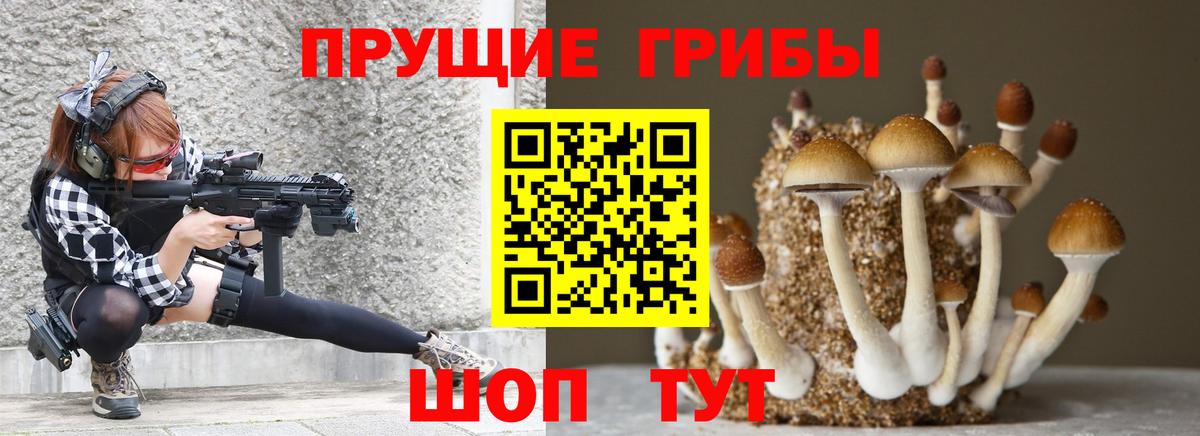 Псилоцибиновые грибы Psilocybe Бирск